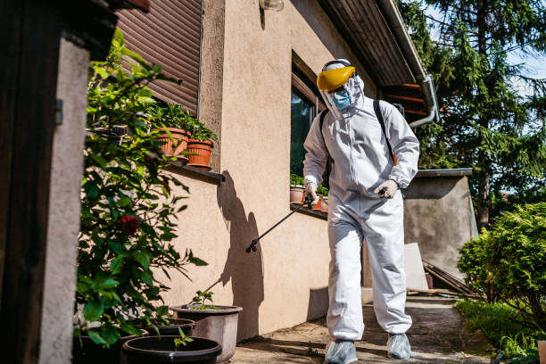 Best Termite Control Services  in Thonotosassa, FL