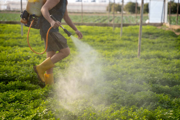 Best Pest Inspection Near Me  in Thonotosassa, FL