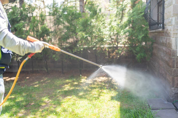 Best Bed Bug Extermination  in Thonotosassa, FL