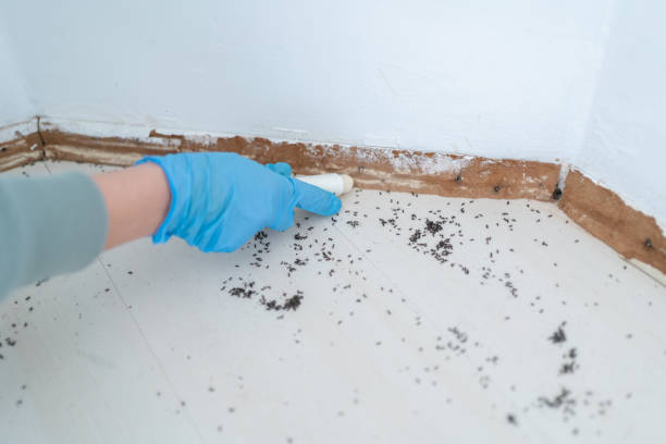 Best Pest Removal Services  in Thonotosassa, FL